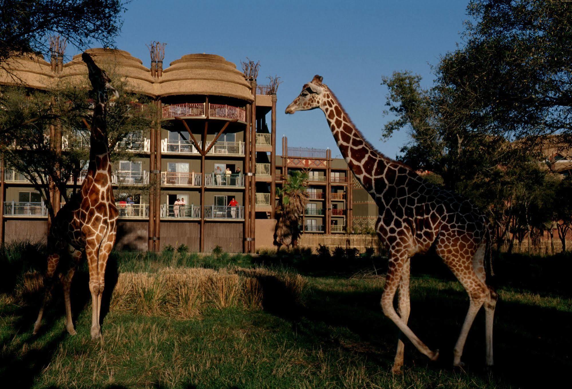 Disney'S Animal Kingdom Villas - Kidani Village Lake Buena Vista Exteriör bild